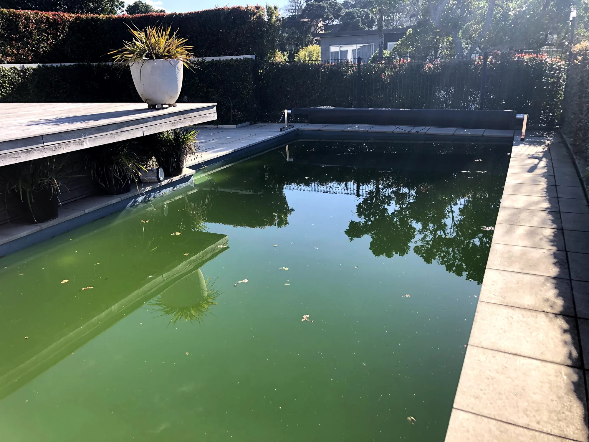 Bayside Transformation before